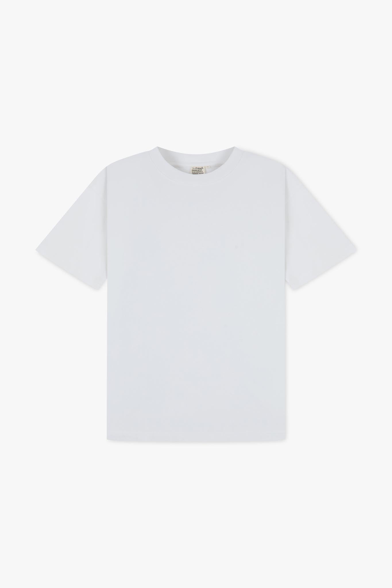 Unisex Heavyweight Oversized Organic T-shirt