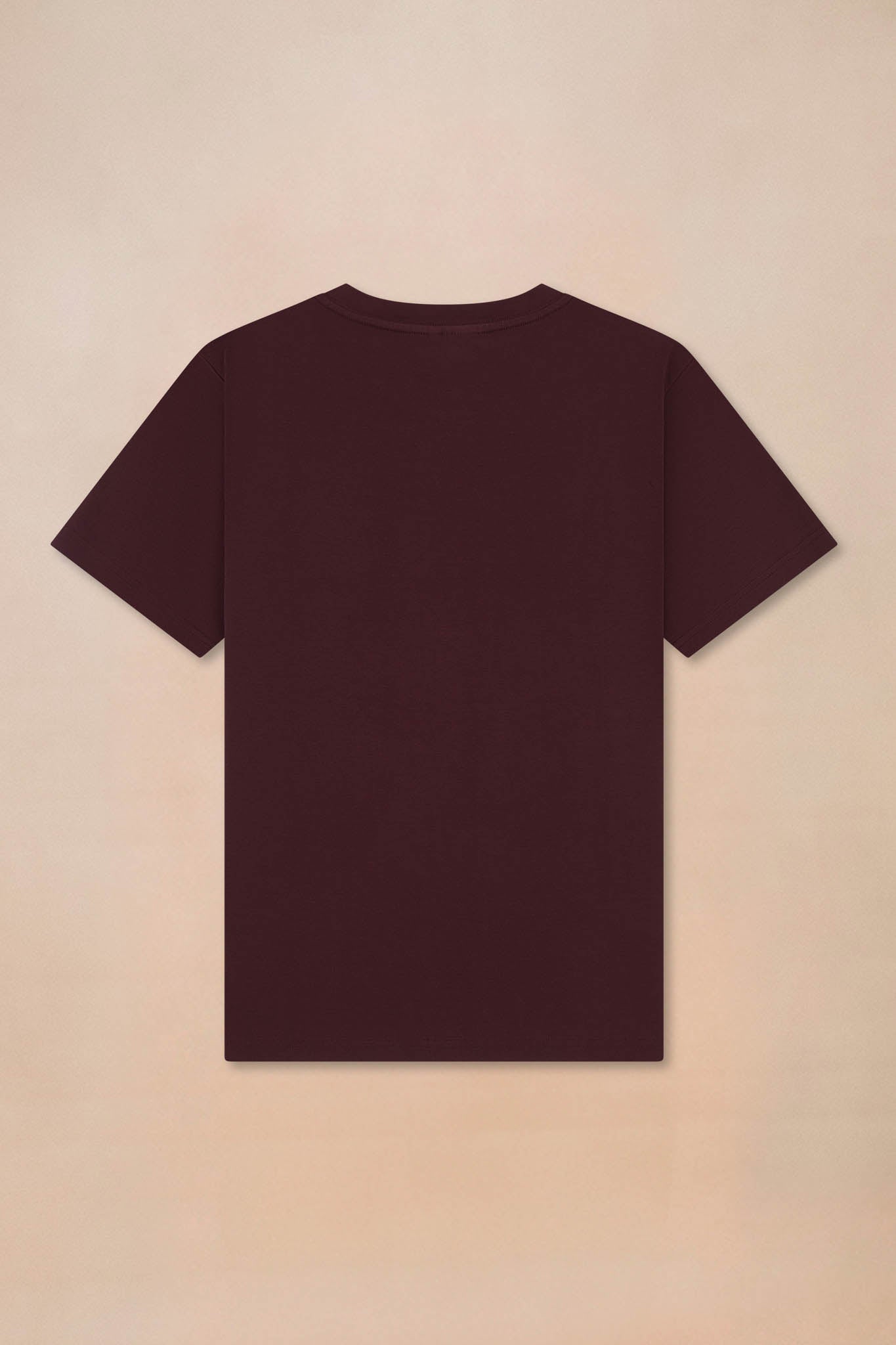 Unisex Premium Heavyweight T-shirt