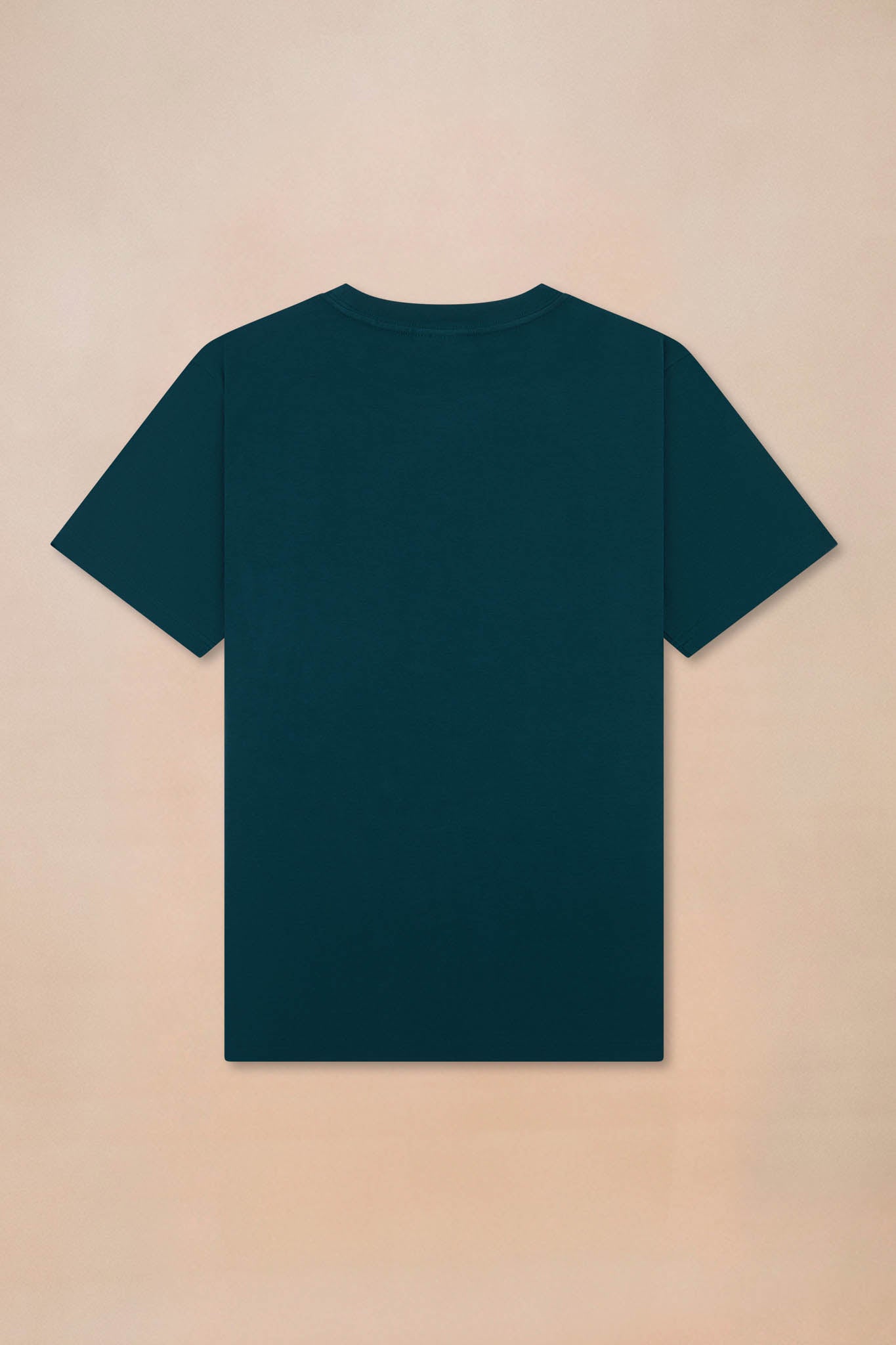 Unisex Premium Heavyweight T-shirt