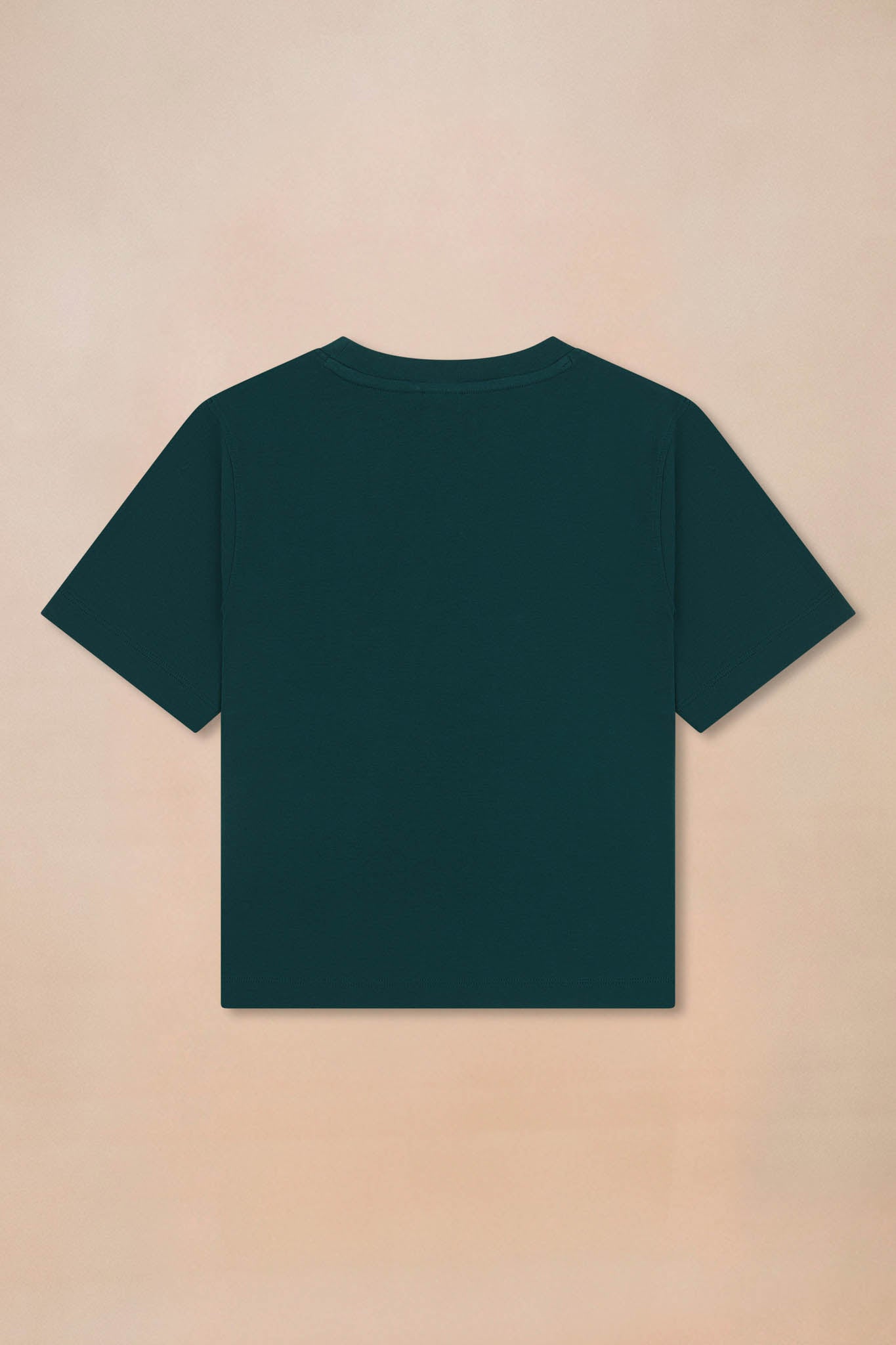 Classic Heavyweight T-shirt