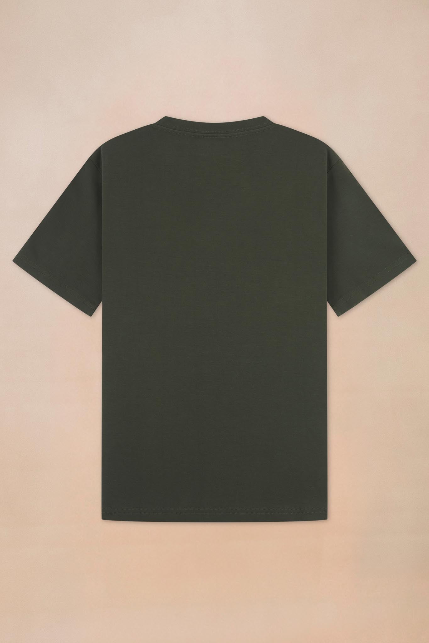 Premium Heavyweight T-shirt