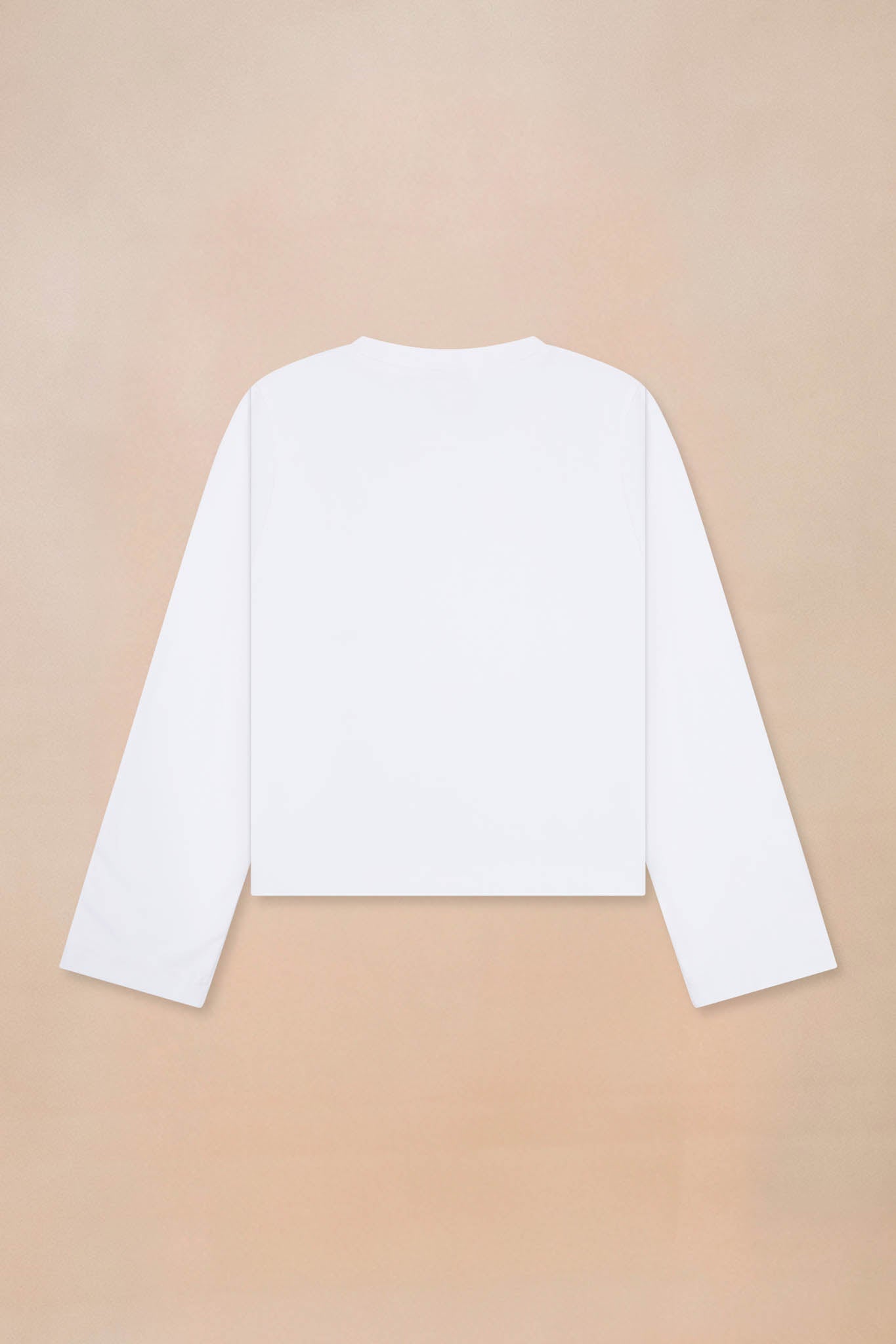 Classic Heavyweight Long Sleeve T-shirt