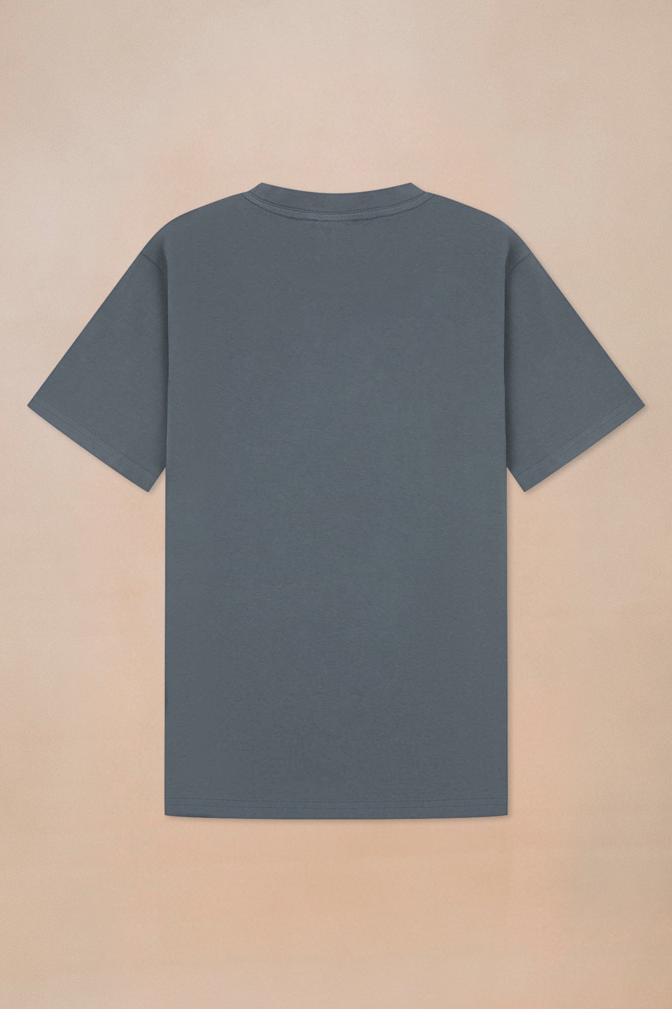 Premium Heavyweight T-shirt