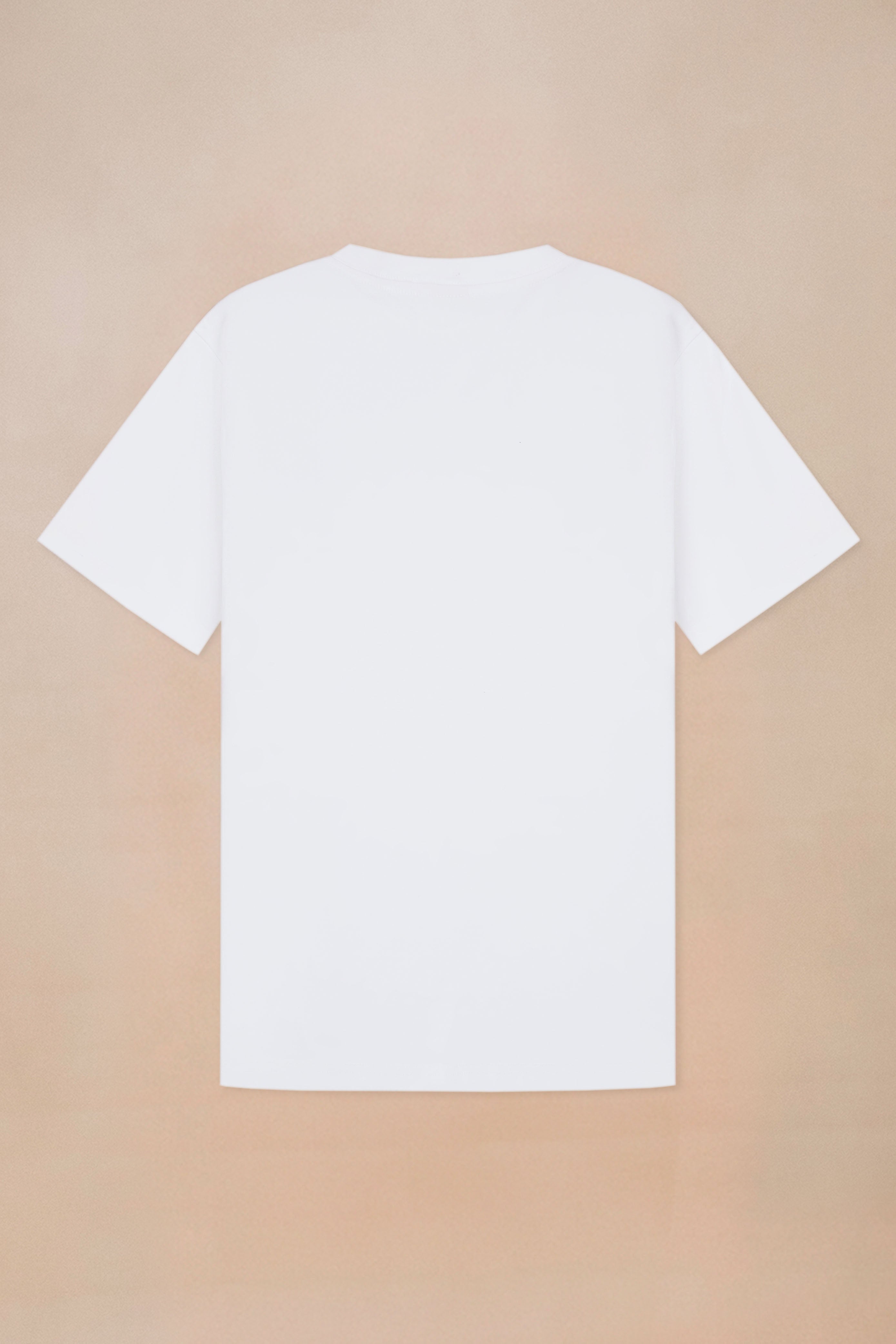 Premium Heavyweight T-shirt