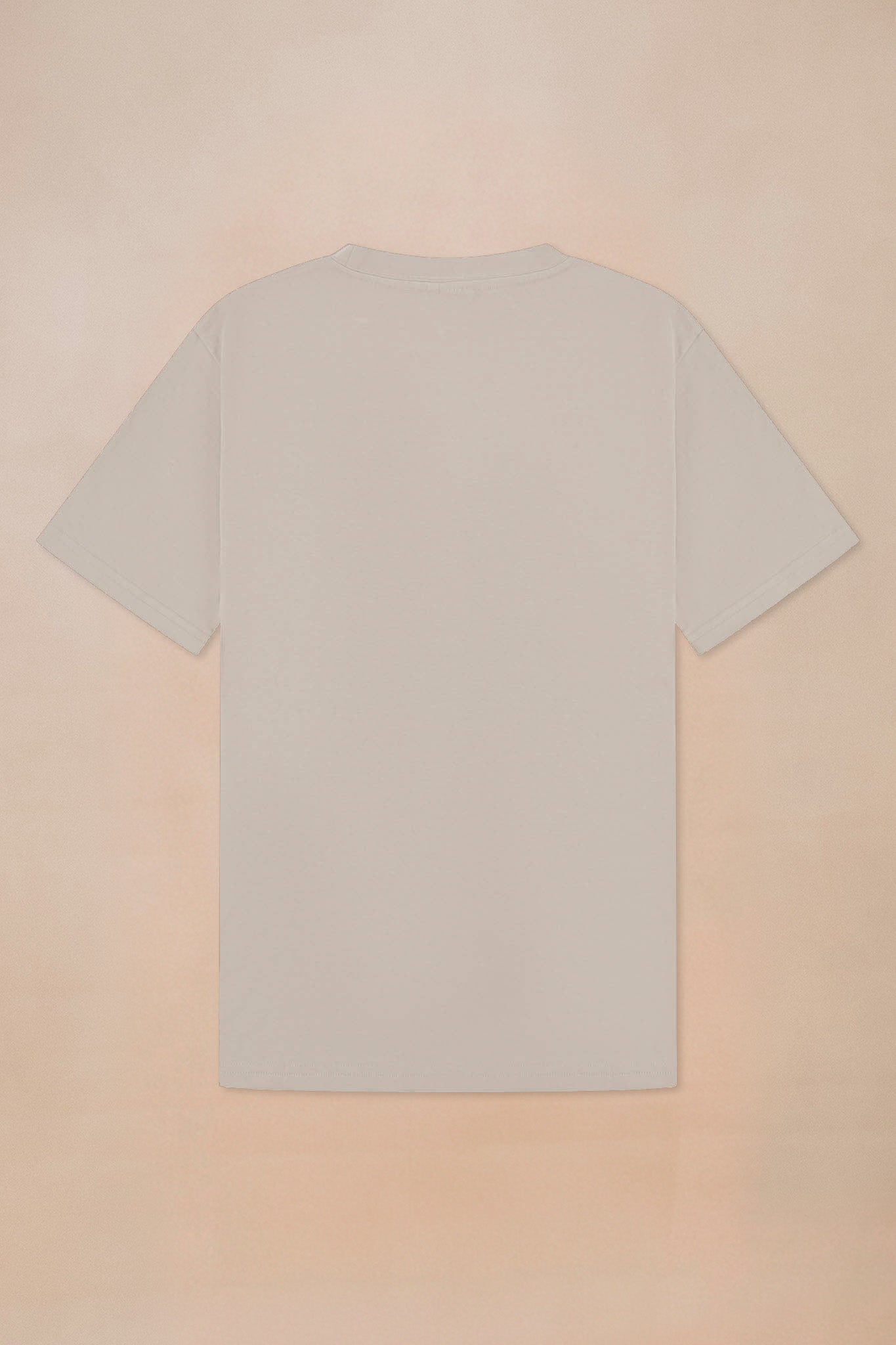 Premium Heavyweight T-shirt
