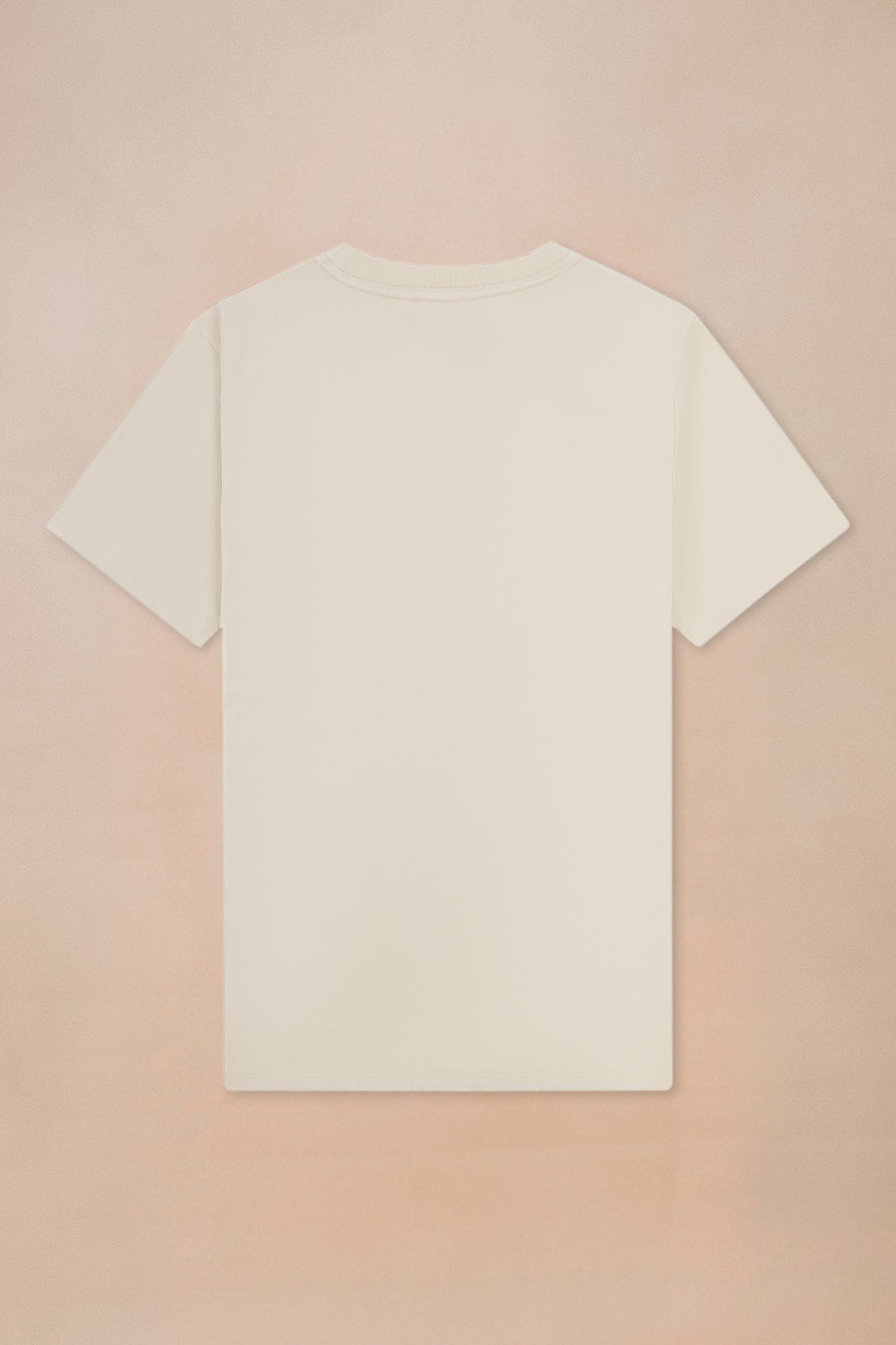 unisex-organic-cotton-original-t-shirt-washed-10.jpg