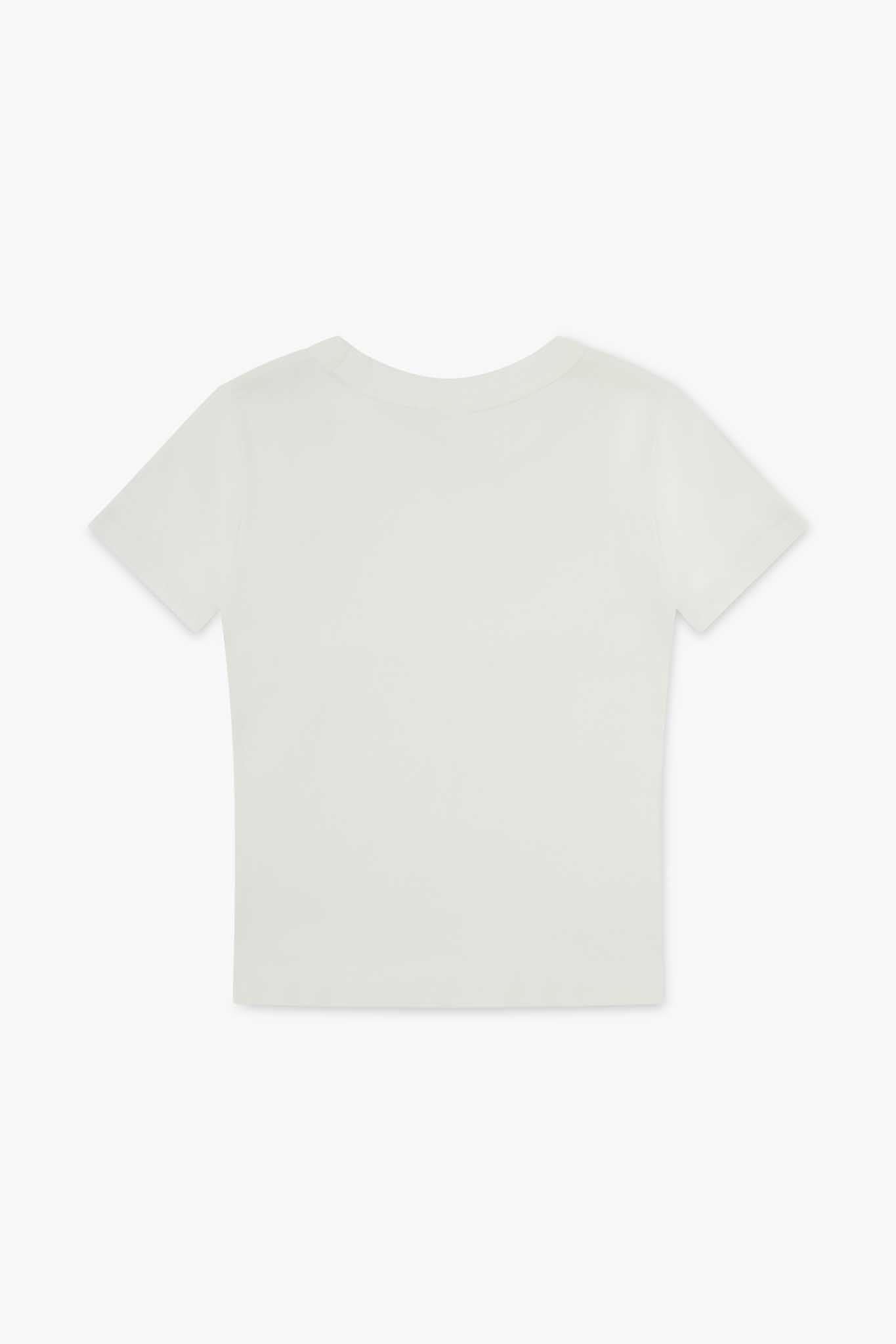 Premium Fitted Organic T-shirt