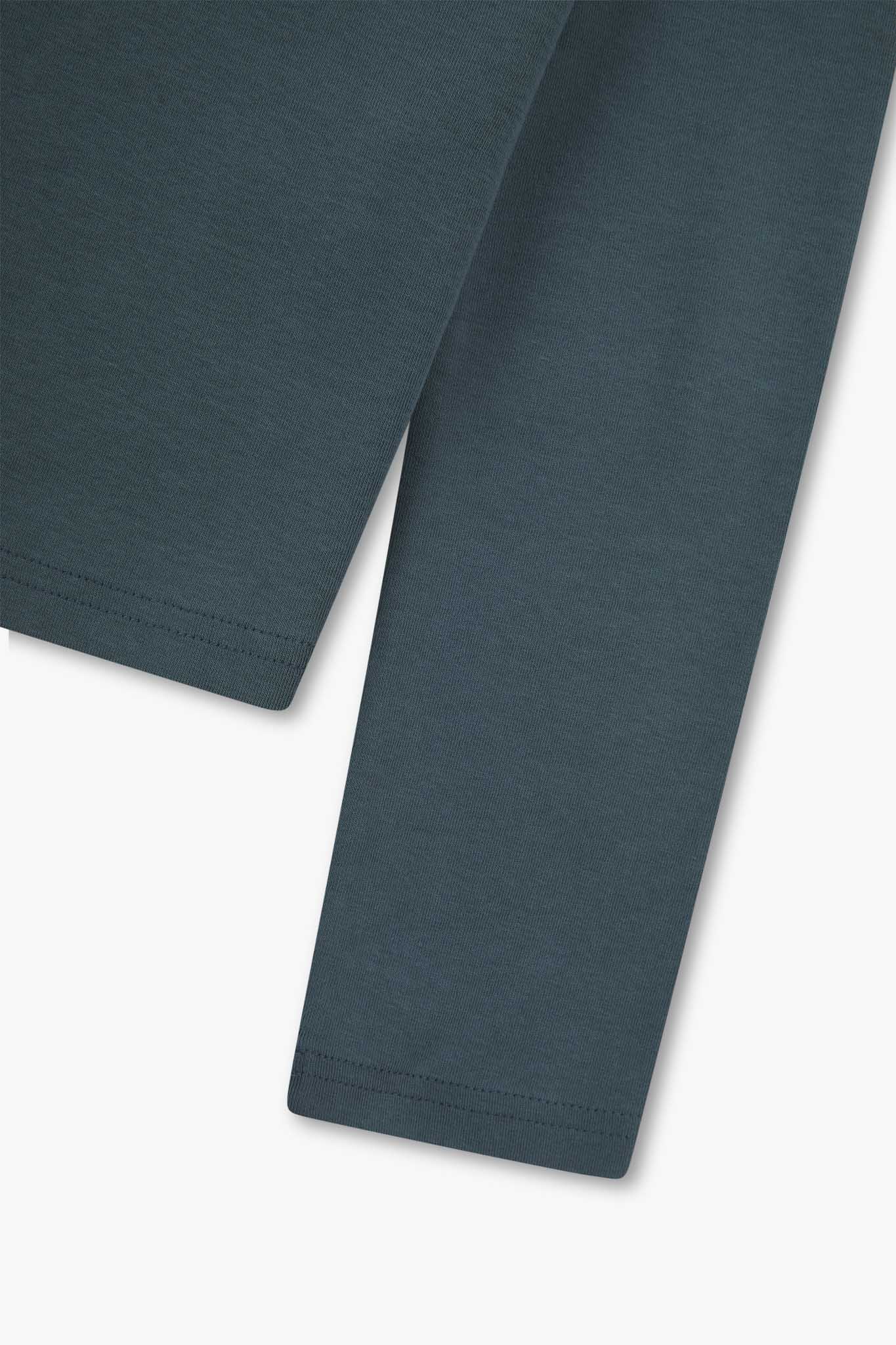 Premium Fitted Organic Long Sleeve T-shirt