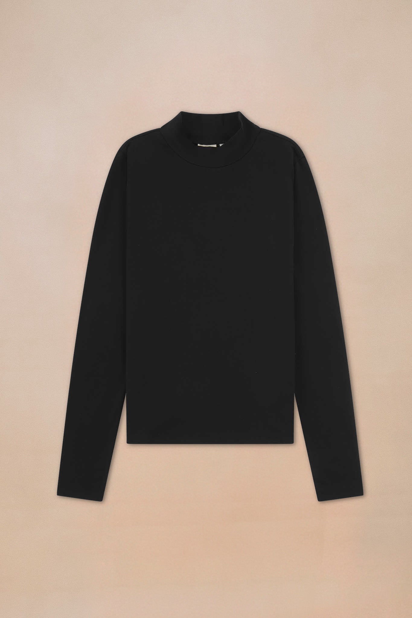 Turtle Neck Top