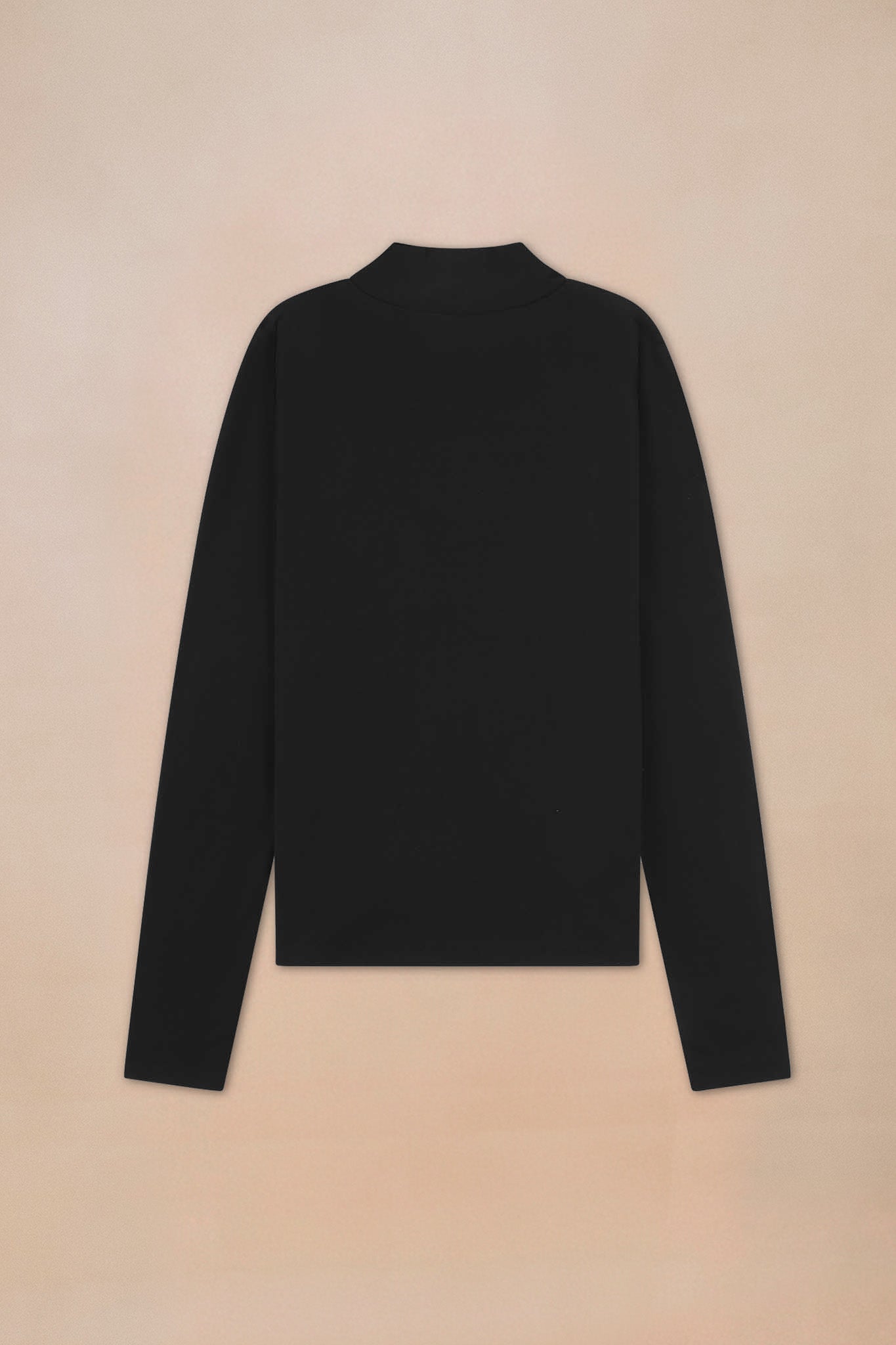 Turtle Neck Top