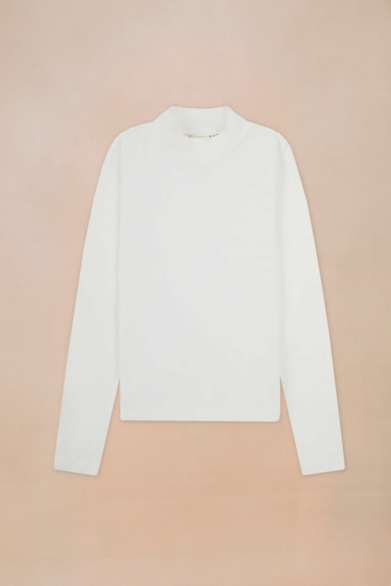 Turtle Neck Top