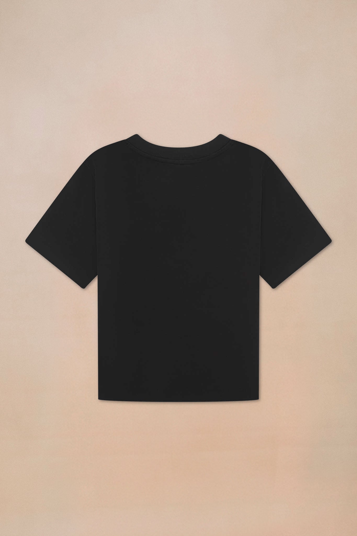 Classic Heavyweight T-shirt