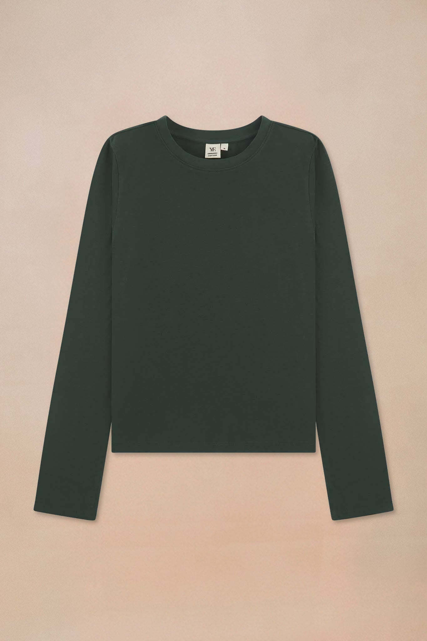 Base Layer